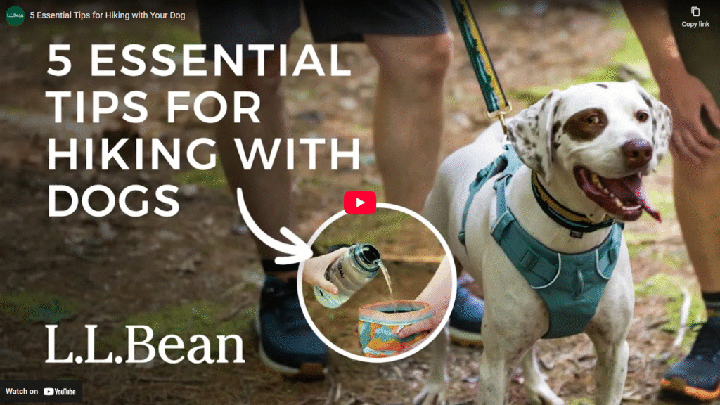 Shoppable Storytelling Series Example: LL Bean